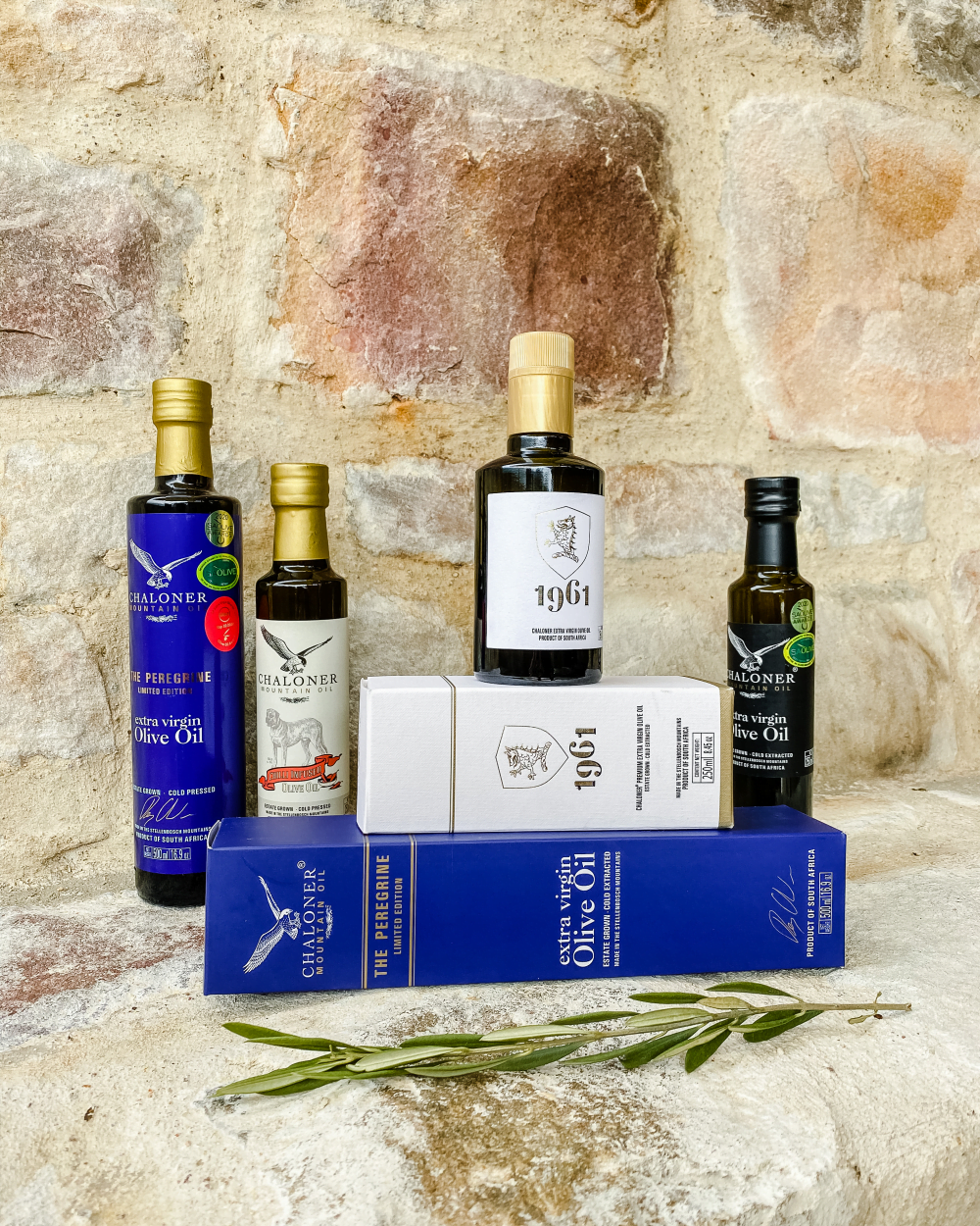 Chaloner 4 1000x1250 Olive Oil
