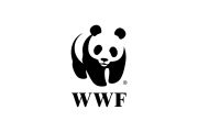 Crystal Direct 6 WWF180
