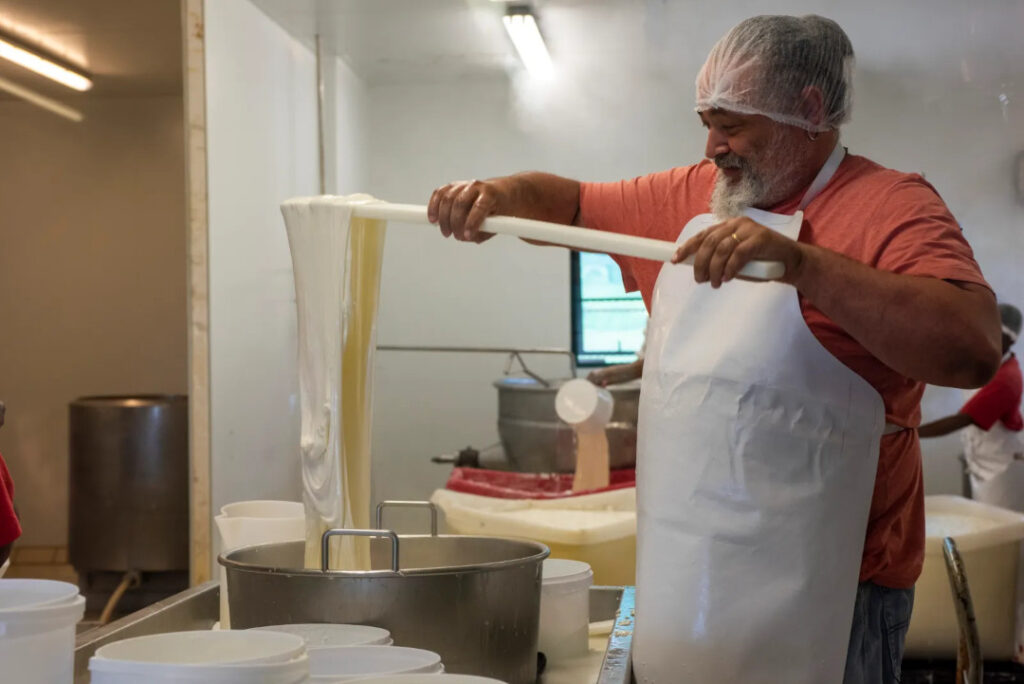 Puglia Cheese 4 Puglia Cheese Osteria